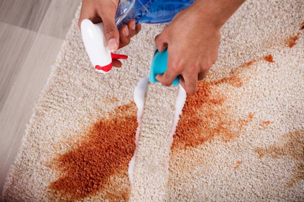 How Professional Carpet Cleaning Can Improve Indoor Air Quality