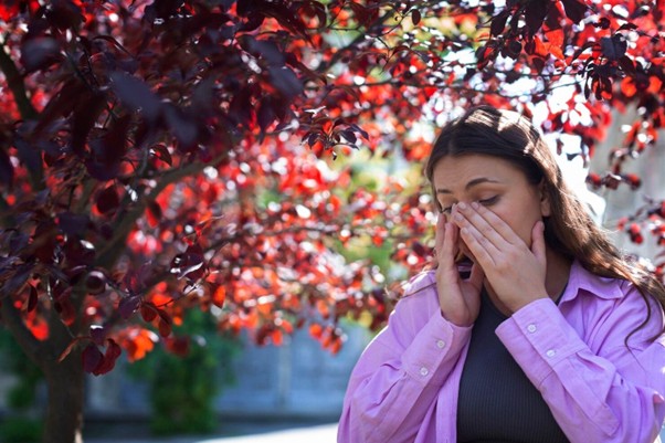 How Pollen Affects Nasal Allergy During Different Seasons